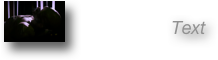       Text